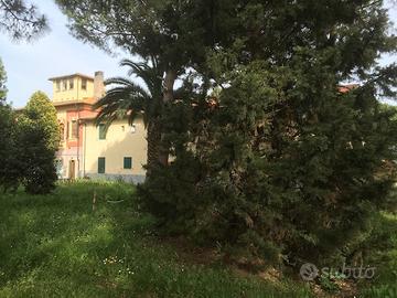 Trilocale 5 posti Baratti Populonia