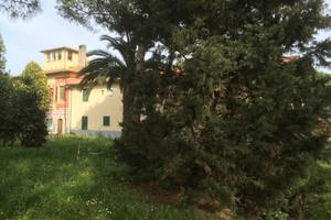 Trilocale 5 posti Baratti Populonia