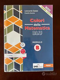 Colori della Matematica blu. Modulo B