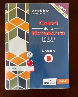 Colori della Matematica blu. Modulo B