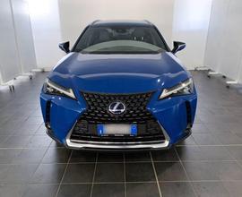 Lexus UX 300e Luxury