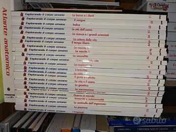 collezione  "esplorando il corpo umano