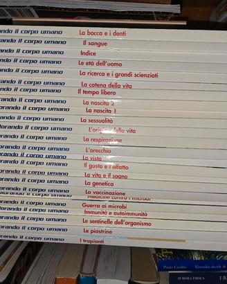 collezione  "esplorando il corpo umano