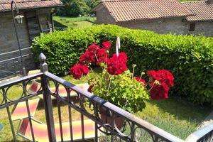 Immobile di 230 m² con più di 5 locali a Sansepolc