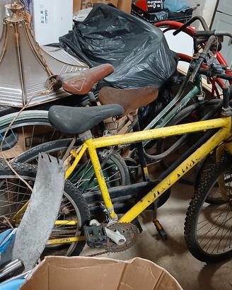 biciclette