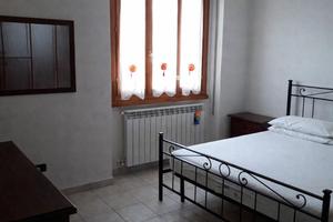 Camera singola arredata e libera da subito