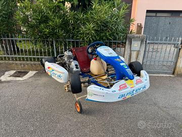 KART AUSTERIK ROK 125