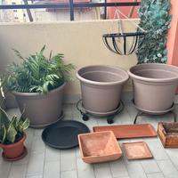 16 pz. + piante /65€ vasi+sotto vasi+ piante v.👇