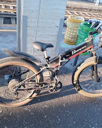 ebike 1000watt