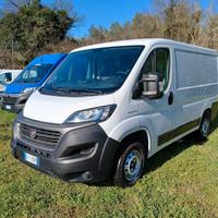 FIAT DUCATO TETTO BASSO PASSO CORTO