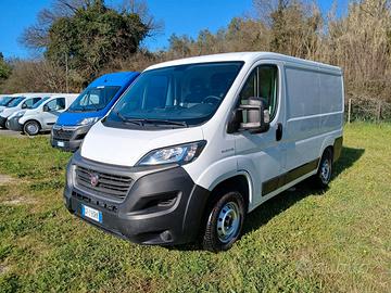 FIAT DUCATO TETTO BASSO PASSO CORTO