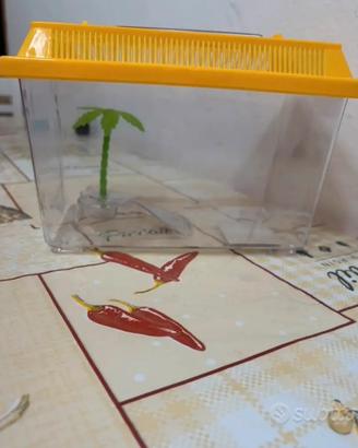 Acquario tartarughe