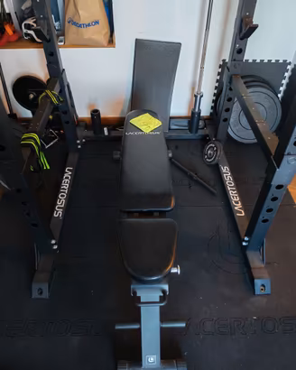 Home gym lacertosus 