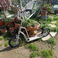 Monopattino da adulto 