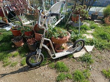 Monopattino da adulto 