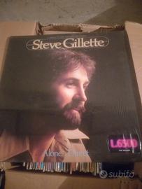 Disco lp vinile Steve Gillette