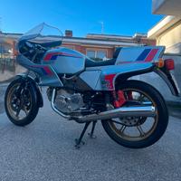 Ducati Pantah 500 SL 1981