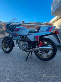 Ducati Pantah 500 SL 1981