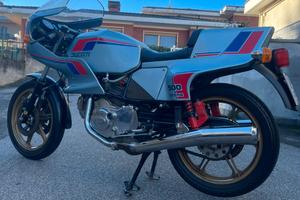 Ducati Pantah 500 SL 1981