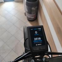 Cannodale topstone neo 4 carbon