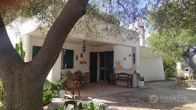 Villetta con Uliveto a Ostuni - Contrada Tamburron