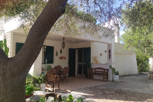Villetta con Uliveto a Ostuni - Contrada Tamburron