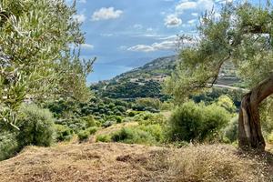 Rudere edificabile e terreno in Capo d'Orlando-ME