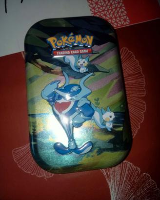 Lotto carte Pokémon