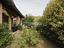 Immagine 29