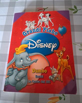 Libro fiabe 