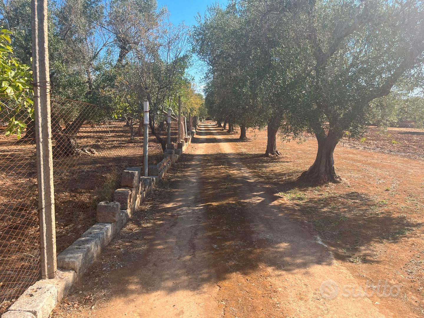 C.da Perito - Terreno con trullo - Vista 3