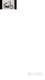 Peugeot Vogue - 2010