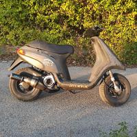 Leo Vince per Typhoon Zip Storm NRG 50 