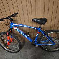 Bici usata poco 