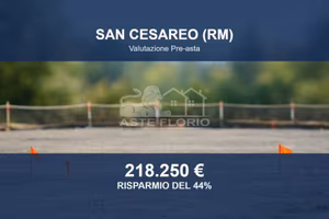 Immobile in asta di 15024 m² a San Cesareo
