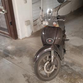 scoter