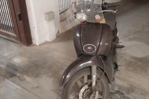 scoter