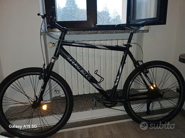 Bicicletta trek 