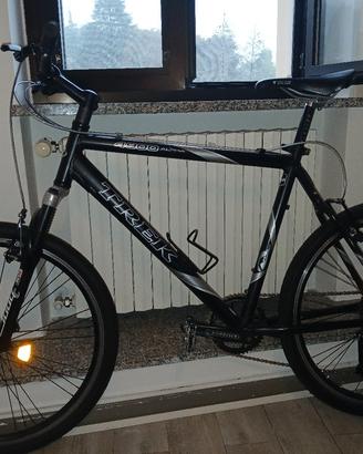 Bicicletta trek 