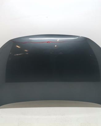 COFANO ANTERIORE CITROEN C4 Cactus 9828105480 (14>