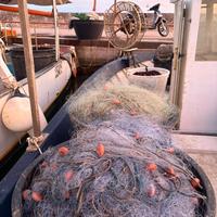 Barca da pesca con licenza