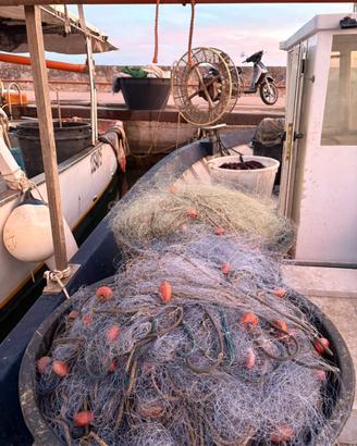 Barca da pesca con licenza