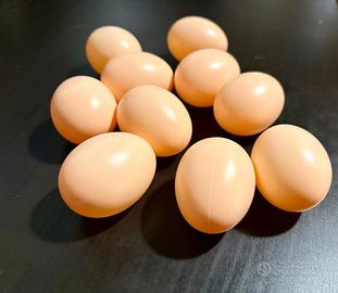 Uova Finte per Galline in Plastica