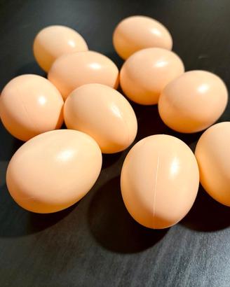Uova Finte per Galline in Plastica