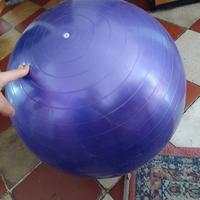 Fit ball per allenamento