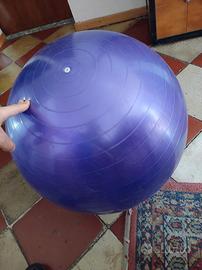 Fit ball per allenamento