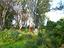 Immagine 14