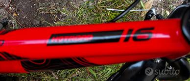 Bicicletta per bambini n16