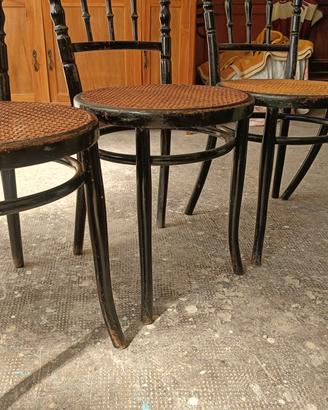 sedie thonet 