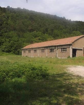 Rustico / Casale di 250 m² con più di 5 locali a T